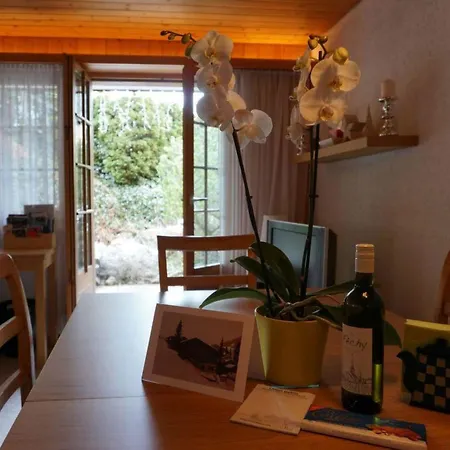 Halten By Interhome Apartment Zweisimmen