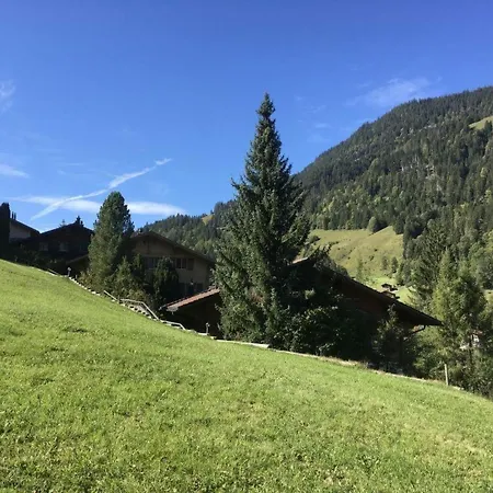 Halten By Interhome Apartment Zweisimmen